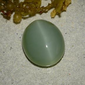 Ojo de gato actinolita verde natural de 6,19 ct, corte óvalo, translúcido