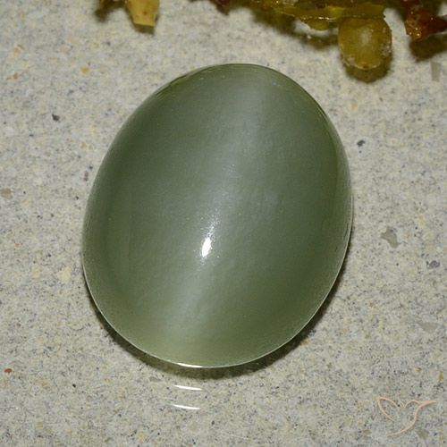 6.83ct Natural Verde cálido Ojo de Gato Actinolita, Ovalada, Translúcido