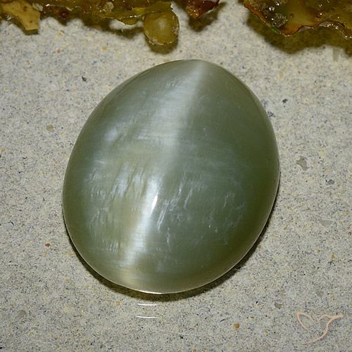 8.60ct Natural Verde medio Ojo de Gato Actinolita, Ovalada, Translúcido