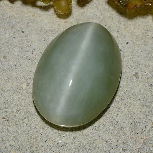 5.92ct Natural Verde musgo claro Ojo de Gato Actinolita, Ovalada, Translúcido