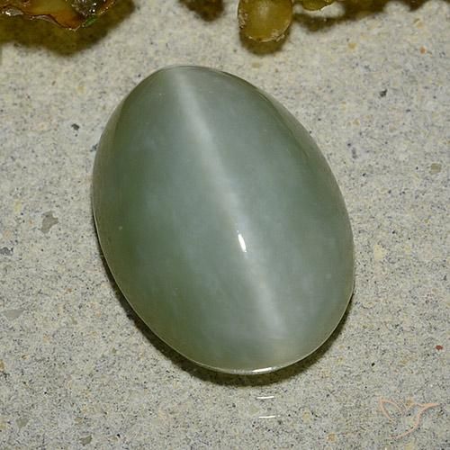 Ojo de Gato Actinolita Verde musgo claro natural de 5.92 ct, Ovalada, Translúcido