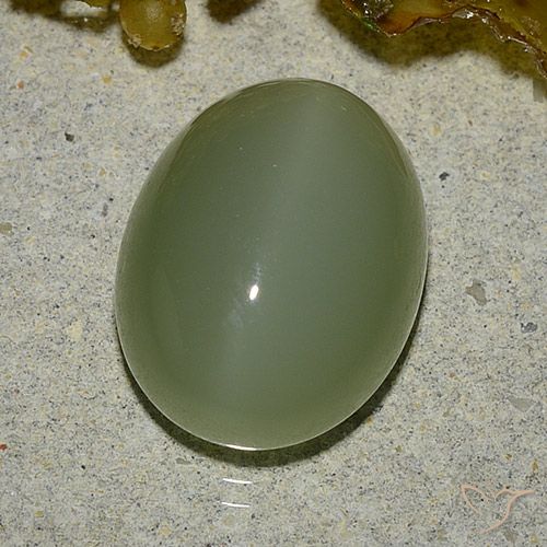 6.92ct Natural Verde militar Ojo de Gato Actinolita, Ovalada, Translúcido
