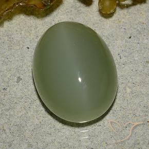 Ojo de Gato Actinolita Verde militar natural de 6.92 ct, Ovalada, Translúcido