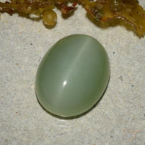 6.46ct Natural Verde terroso Ojo de Gato Actinolita, Ovalada, Translúcido