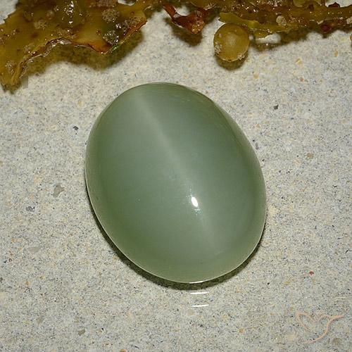 Ojo de Gato Actinolita Verde terroso natural de 6.46 ct, Ovalada, Translúcido
