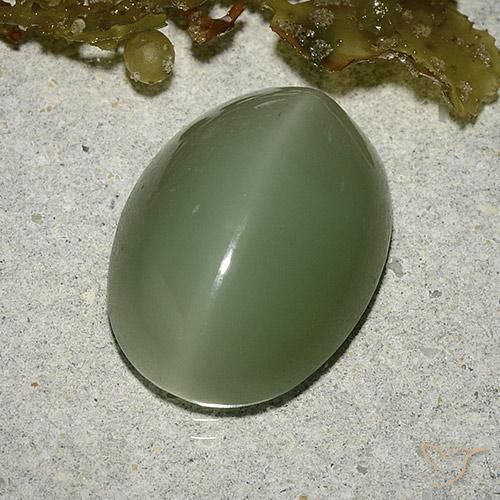 Actinolite cat's eye verde natural de 8,04 ct, corte óvalo, translúcido