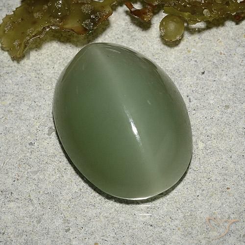 Actinolite cat's eye verde natural de 8,04 ct, corte óvalo, translúcido