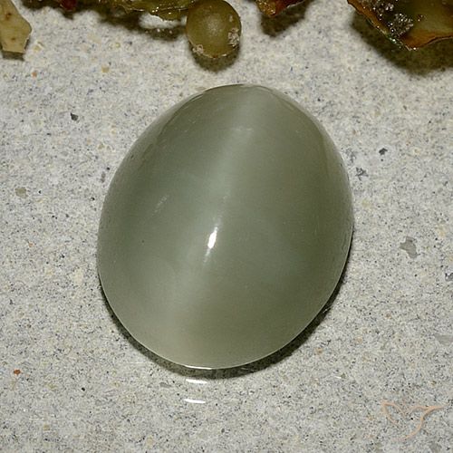 5.33ct Natural Verde marrón Ojo de Gato Actinolita, Ovalada, Translúcido
