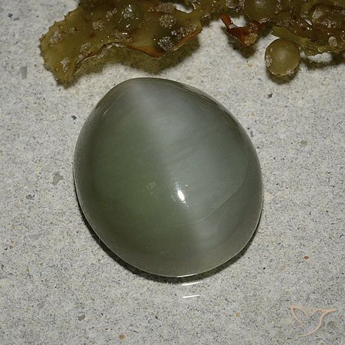 6.78ct Natural Verde medio Ojo de Gato Actinolita, Ovalada, Translúcido, Photo A