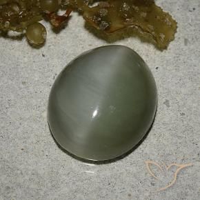 Ojo de Gato Actinolita Verde medio natural de 6.78 ct, Ovalada, Translúcido