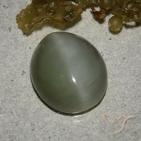 Ojo de Gato Actinolita Verde medio natural de 6.78 ct, Ovalada, Translúcido