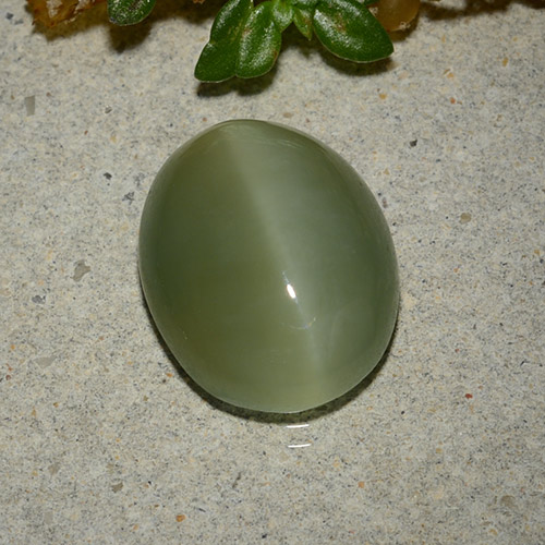 Actinolite cat's eye verde natural de 5,33 ct, corte óvalo, translúcido