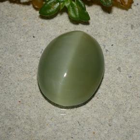 Actinolite cat's eye verde natural de 5,33 ct, corte óvalo, translúcido