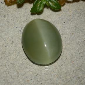 Actinolite cat's eye verde natural de 5,33 ct, corte óvalo, translúcido