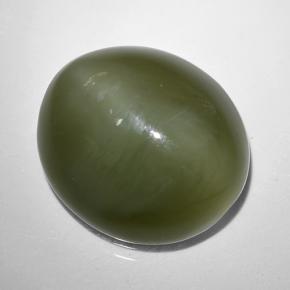 Actinolite cat's eye verde natural de 9,44 ct, corte óvalo, translúcido