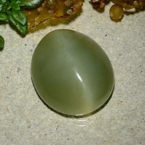 Actinolite cat's eye verde natural de 9,08 ct, corte óvalo, translúcido