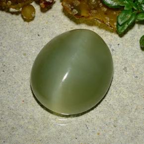 Actinolite cat's eye verde natural de 9,08 ct, corte óvalo, translúcido