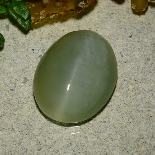 Actinolite cat's eye verde natural de 4,86 ct, corte óvalo, translúcido