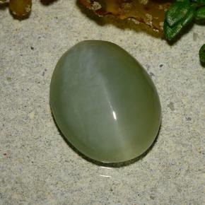 Actinolite cat's eye verde natural de 4,86 ct, corte óvalo, translúcido