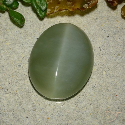 6.48ct Natural Verde medio Ojo de Gato Actinolita, Ovalada, Translúcido