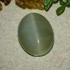 Ojo de Gato Actinolita Verde medio natural de 6.48 ct, Ovalada, Translúcido