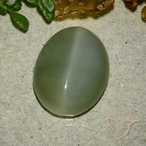 Ojo de Gato Actinolita Verde medio natural de 6.48 ct, Ovalada, Translúcido