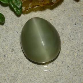 Actinolite cat's eye verde natural de 3,59 ct, corte óvalo, translúcido