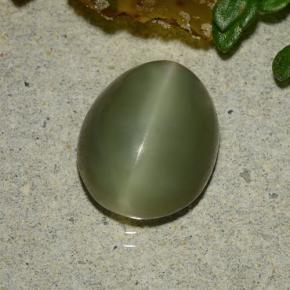 Actinolite cat's eye verde natural de 3,59 ct, corte óvalo, translúcido