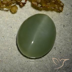 Ojo de Gato Actinolita Verde militar natural de 7.01 ct, Ovalada, Translúcido