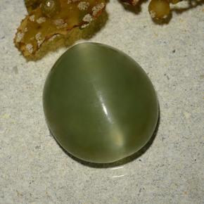 Actinolite cat's eye verde natural de 5,70 ct, corte óvalo, translúcido