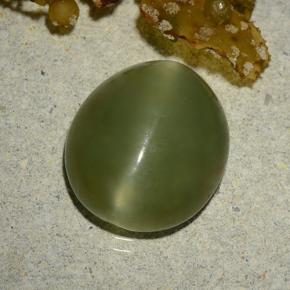 Actinolite cat's eye verde natural de 5,70 ct, corte óvalo, translúcido