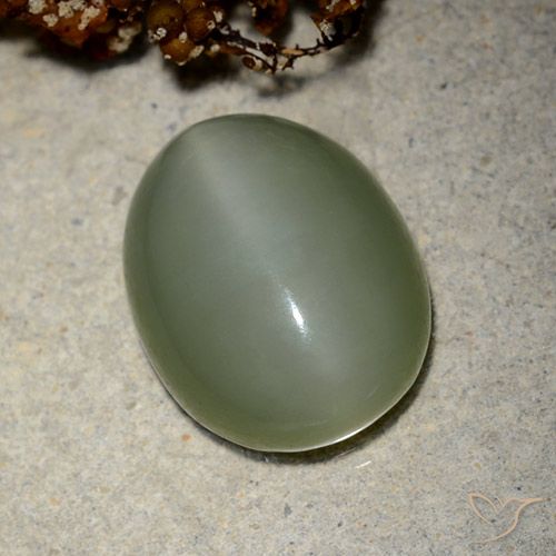 10.66ct Natural Verde medio Ojo de Gato Actinolita, Ovalada, Translúcido