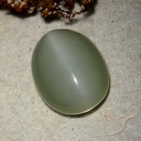 Ojo de Gato Actinolita Verde medio natural de 10.66 ct, Ovalada, Translúcido
