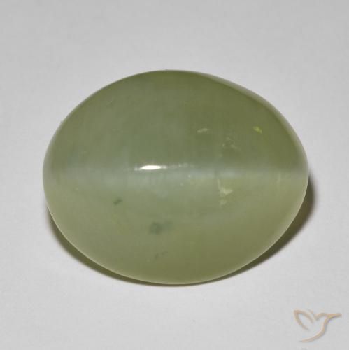 11.42ct Natural Verde grisáceo Ojo de Gato Actinolita, Ovalada, Translúcido