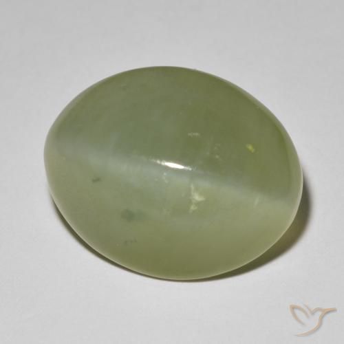 Ojo de Gato Actinolita Verde grisáceo natural de 11.42 ct, Ovalada, Translúcido