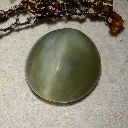 8.89ct Natural Verde oscuro Ojo de Gato Actinolita, Ovalada, Translúcido