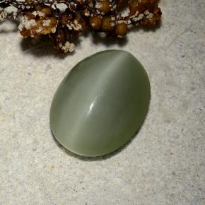 Actinolite cat's eye verde natural de 4,81 ct, corte óvalo, translúcido