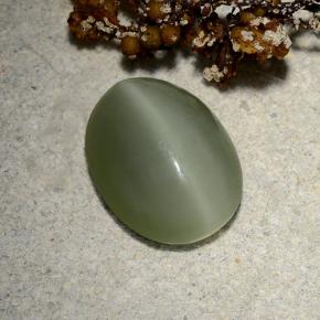 Actinolite cat's eye verde natural de 4,81 ct, corte óvalo, translúcido