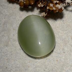 Ojo de Gato Actinolita Verde natural de 4.46 ct, Corte Óvalo, Translúcido
