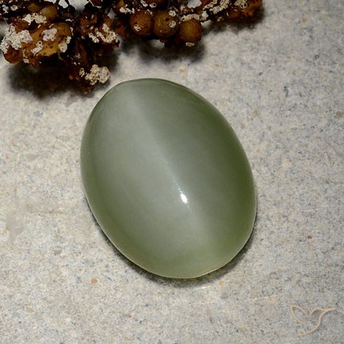 5.19ct Natural Verde dorado Ojo de Gato Actinolita, Ovalada, Translúcido