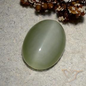Ojo de Gato Actinolita Verde dorado natural de 5.19 ct, Ovalada, Translúcido