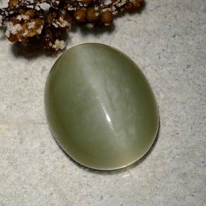 Actinolite cat's eye verde natural de 9,06 ct, corte óvalo, translúcido