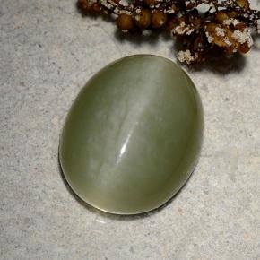 Actinolite cat's eye verde natural de 9,06 ct, corte óvalo, translúcido