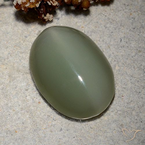 8.62ct Natural Verde medio Ojo de Gato Actinolita, Ovalada, Translúcido
