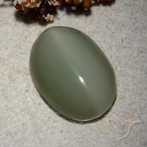 Ojo de Gato Actinolita Verde medio natural de 8.62 ct, Ovalada, Translúcido