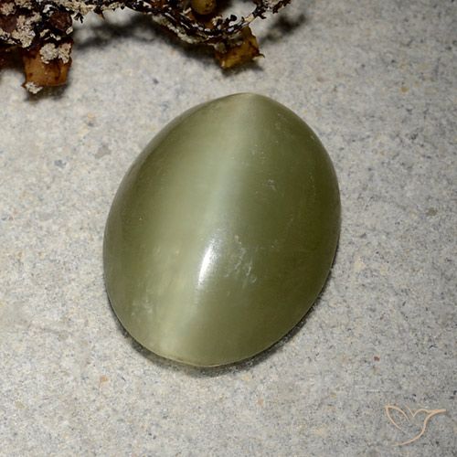 Actinolite cat's eye verde natural de 5,10 ct, corte óvalo, translúcido