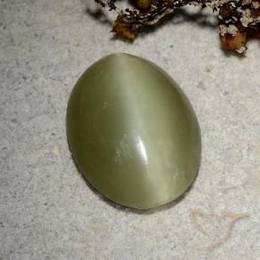 Actinolite cat's eye verde natural de 5,10 ct, corte óvalo, translúcido