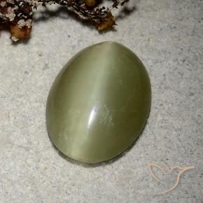 Actinolite cat's eye verde natural de 5,10 ct, corte óvalo, translúcido