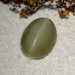Actinolite cat's eye verde natural de 2,78 ct, corte óvalo, translúcido