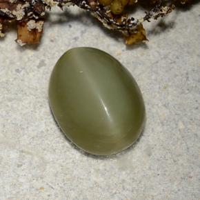 Actinolite cat's eye verde natural de 2,78 ct, corte óvalo, translúcido